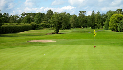 view of green looking out to the tree lined fairway in the background