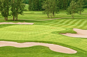 green surrounded by bunkers